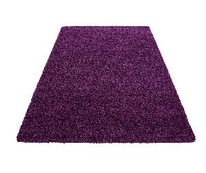 Covor Dream Lilac 120x170 cm - Ayyildiz Carpet, Mov