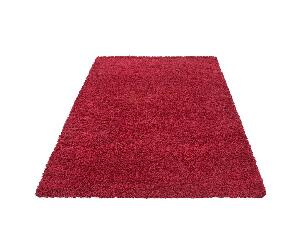 Covor Dream Red 120x170 cm - Ayyildiz Carpet, Rosu