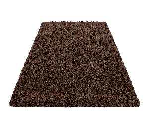 Covor Dream Brown 120x170 cm - Ayyildiz Carpet, Maro