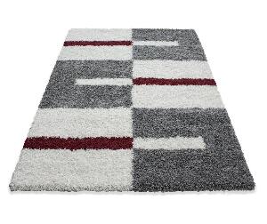 Covor Gala Red 140x200 cm - Ayyildiz Carpet, Rosu