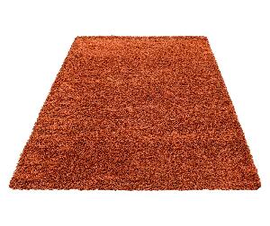 Covor Life Terra 200x290 cm - Ayyildiz Carpet, Rosu