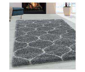 Covor Salsa Grey 60x110 cm - Ayyildiz Carpet, Gri & Argintiu