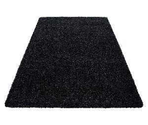 Covor Dream Anthrazit 160x230 cm - Ayyildiz Carpet, Gri & Argintiu