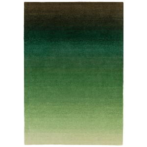 Covor Asiatic Carpets Ombre, 120 x 170 cm, verde-gri