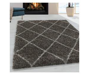 Covor Alvor Taupe 120x170 cm - Ayyildiz Carpet, Maro