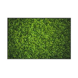 Covor Oyo home Ivy, 100 x 140 cm, verde